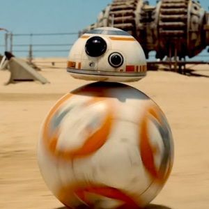 Meet your Posher, Adam